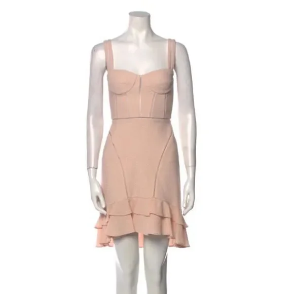 NWT. $795 Jonathan Simkhai Bustier Mini Dress Size 0 pink